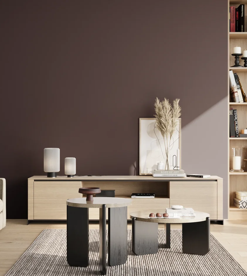 P10_SNIEZKA_salon_02_poludnie_GREY_S8010-R30B